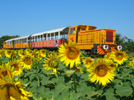 train des alpilles